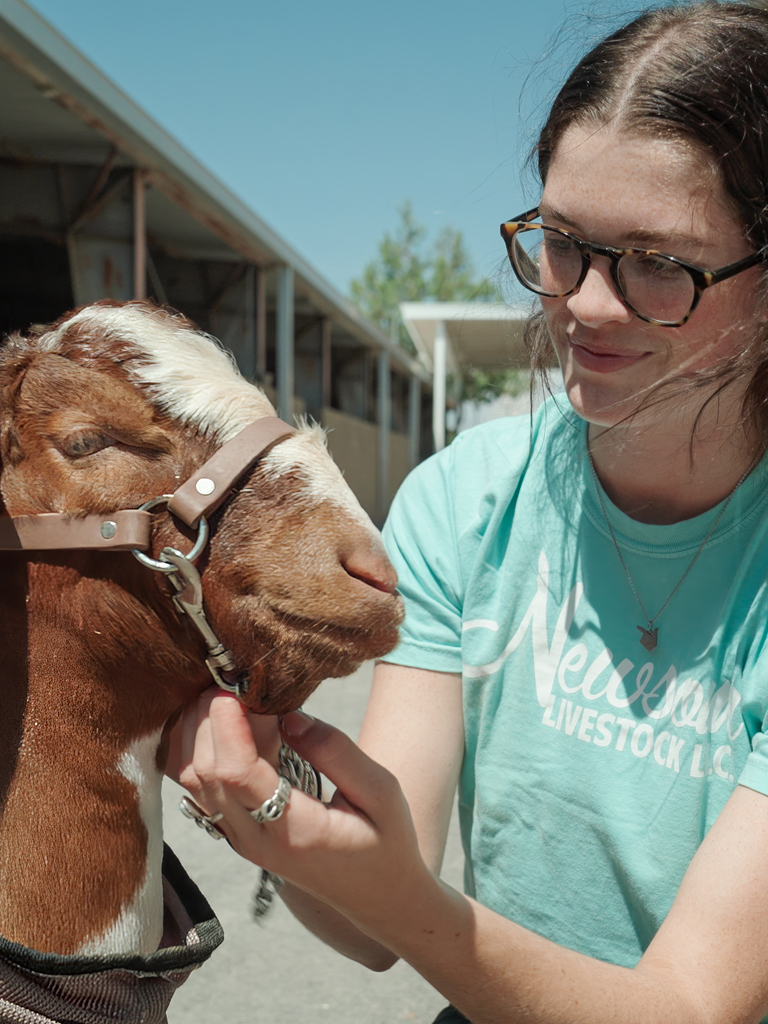 Junior Livestock Goat entry in the New Mexico State Fair